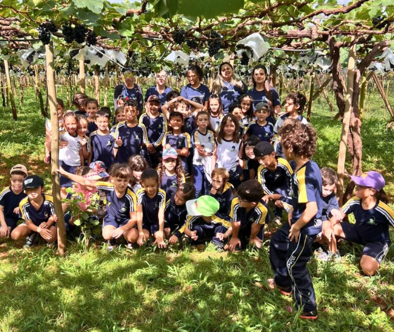 Passeio Pedagógico do 1º ano