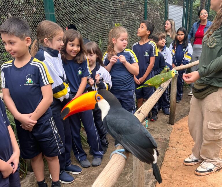 Viagem Pedagógica: Zoo Casa das Araras